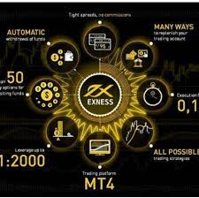 Trade on Exness - What you require to know when trading